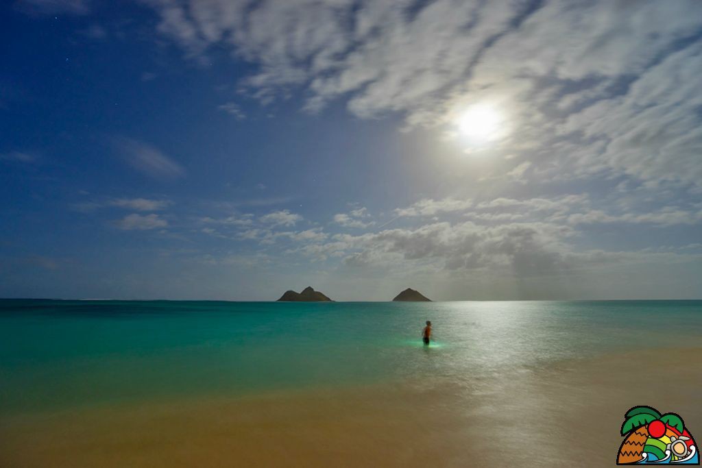 hawaii201504-01
